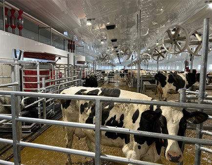 Électricien agricole